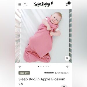 Kyte baby sleep bad tog 2.5 size small